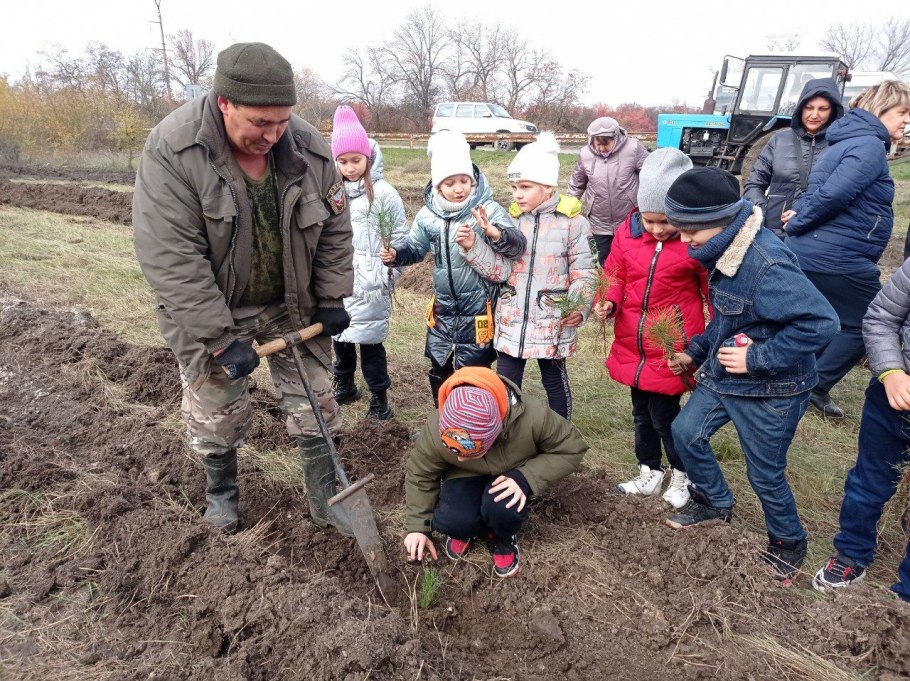 Нерюнгринское лесничество