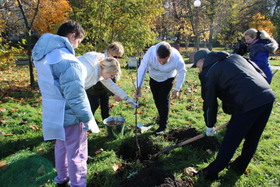 Сохранение лесов