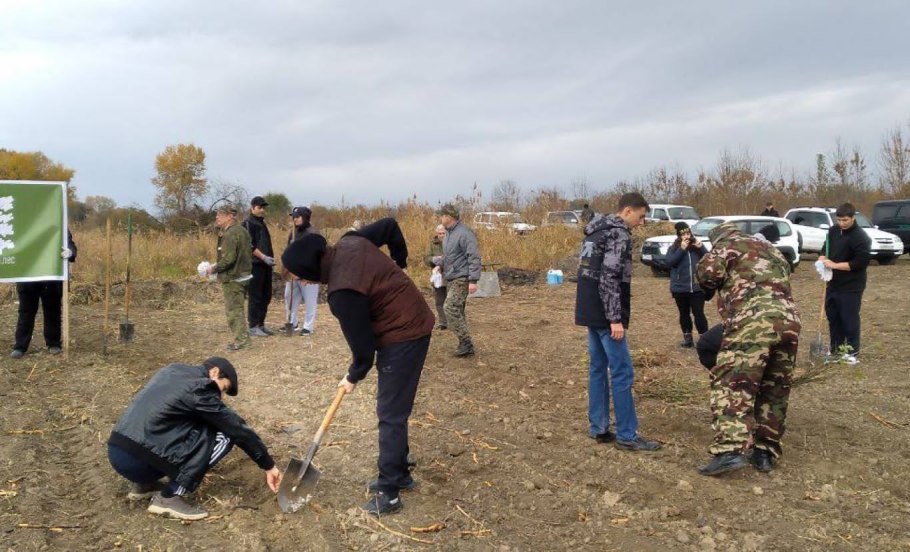 Акция сохраним лес