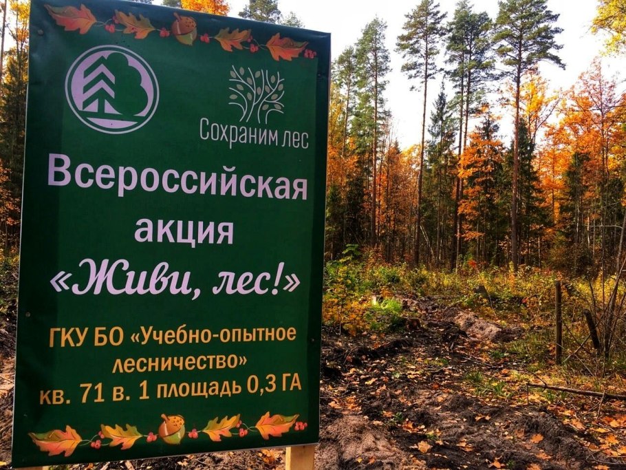 Сохраним лес от пожара