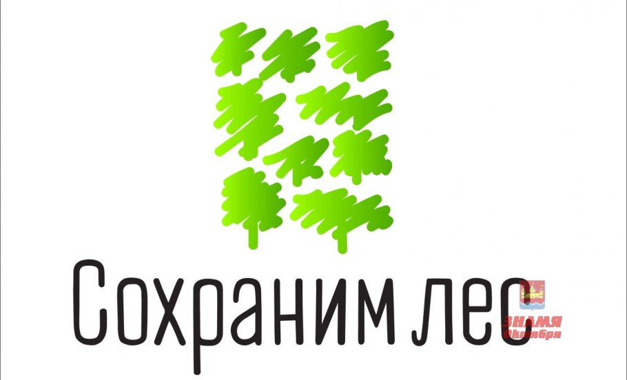 Всероссийская акция сохраним лес