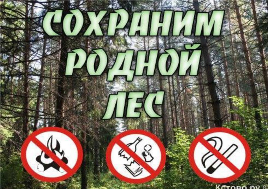Защита леса