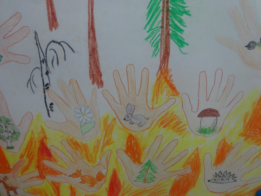 Рисунки на тему берегите лес от пожара