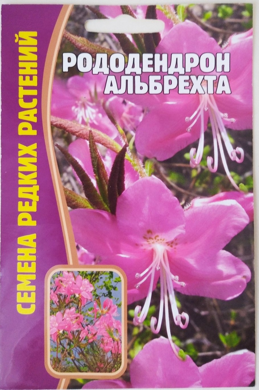 Семена рододендрона