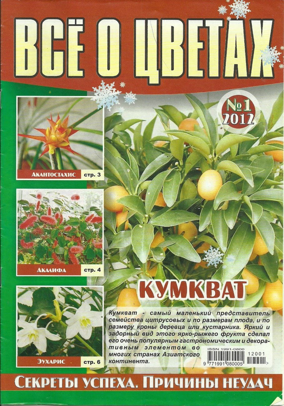 Колесо зубчатое коническое ФД-567.01.002