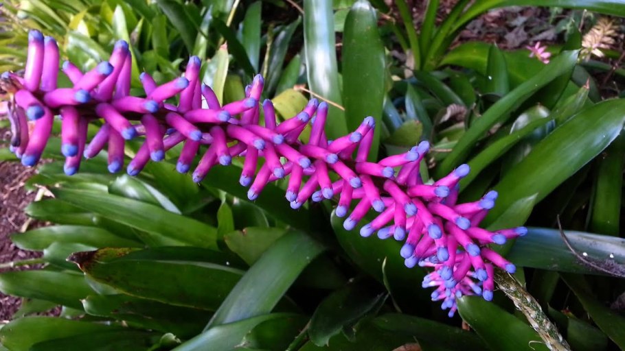 Бигуди BABYLISS Pro babts6gse