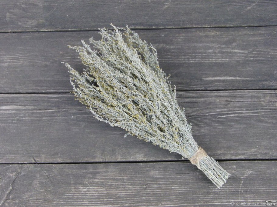 Полынь горькая веник