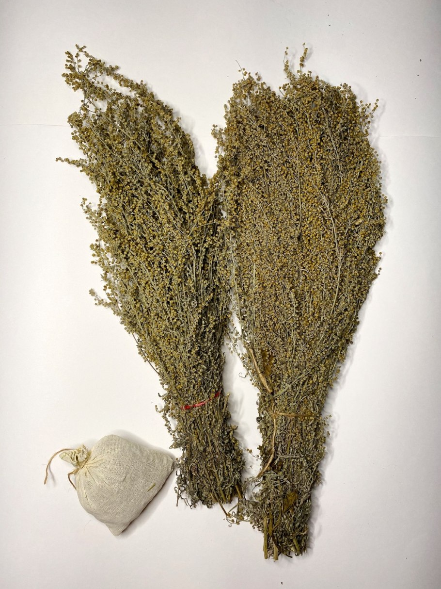 Джунгарская Полынь