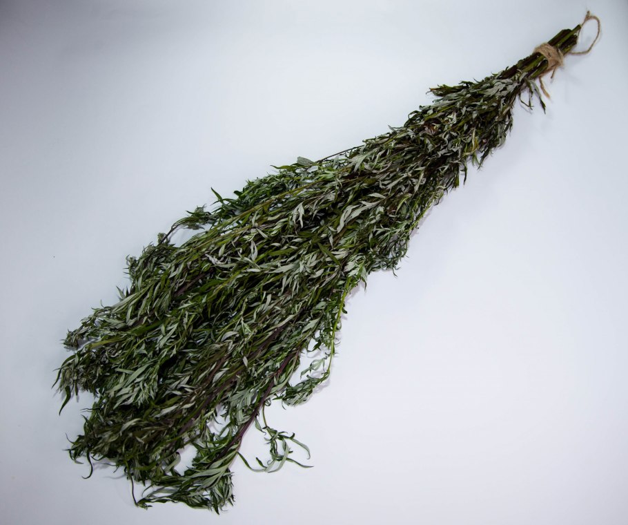 Полынь метельчатая фарм