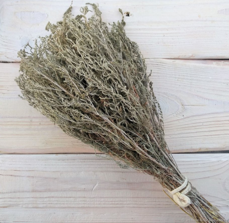 Полынь горькая веник