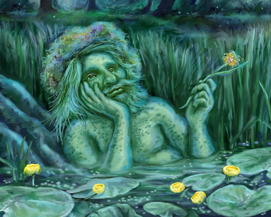 Стрелолист, ольха, Осока