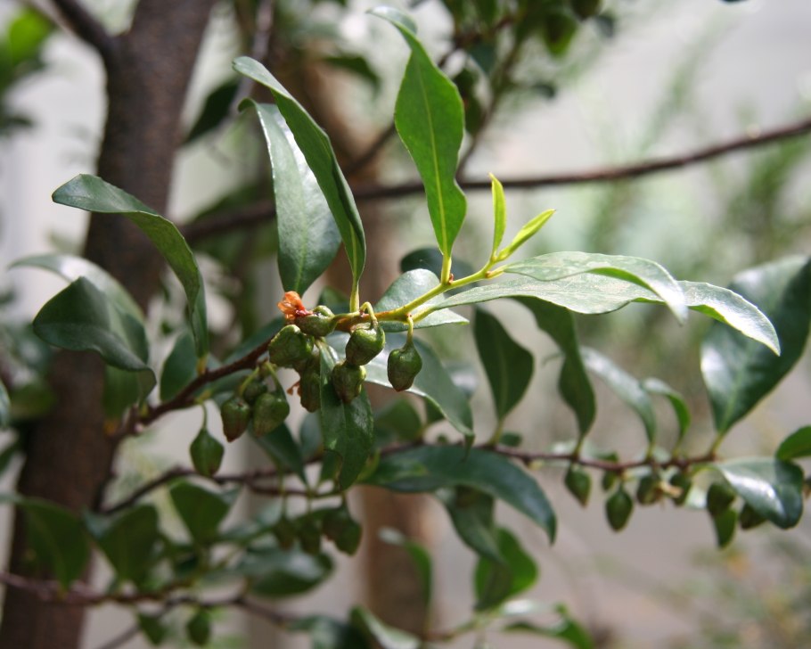 Материнская плата MSI 865gvm2-LS