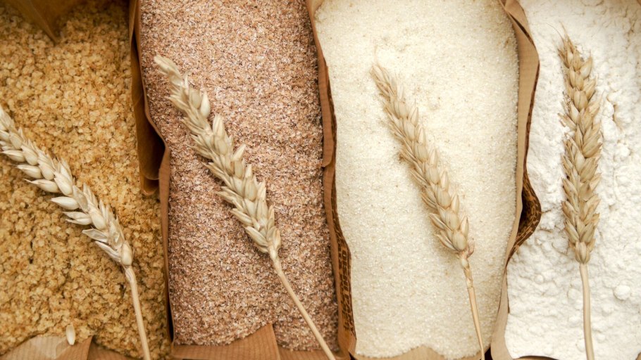 Пшеница фуражная пророщенная