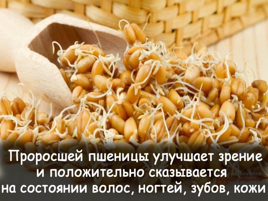 Полезные свойства пшеницы