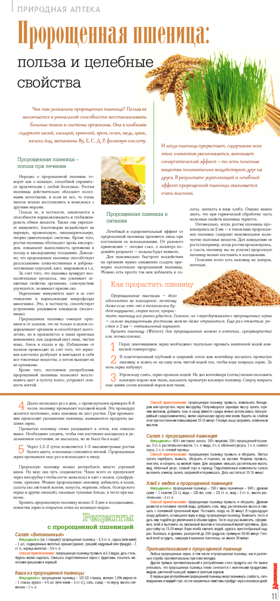 Ростки пшеницы (Wheat grass)