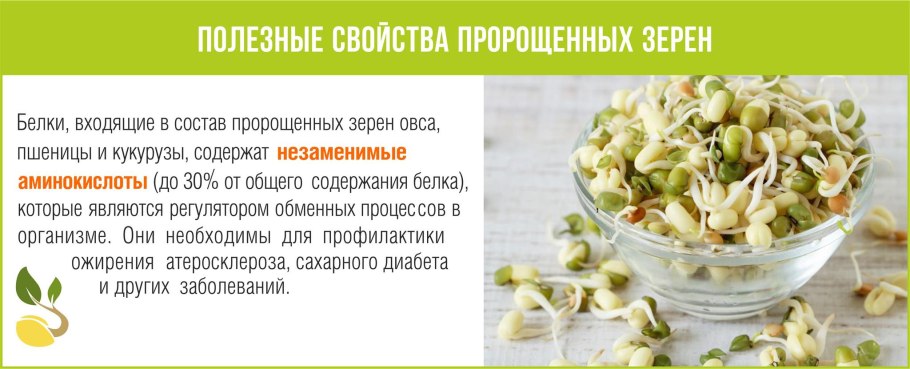 Пророщенная пшеница Витграсс