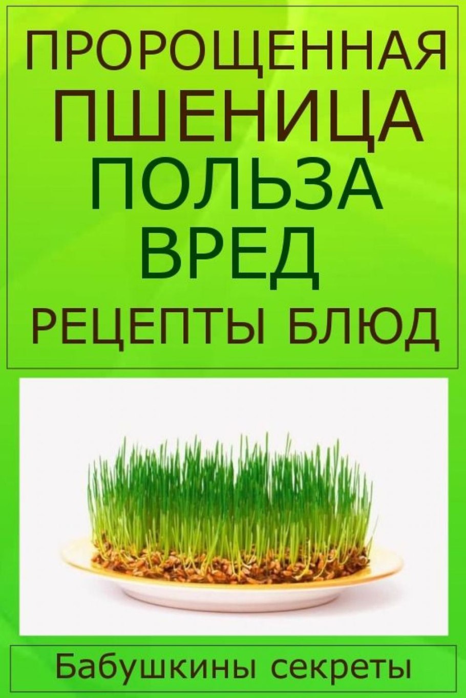 Семена бобовых растений пророщенные