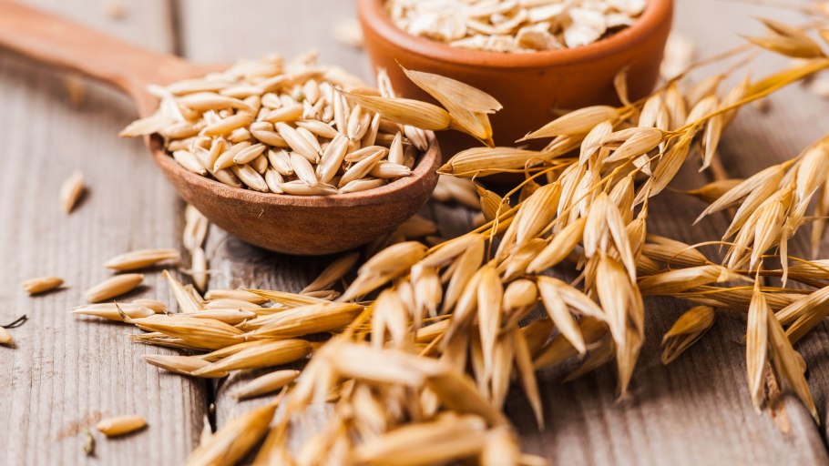 Полба спельта