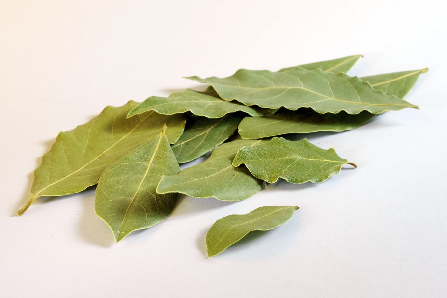 Lorbeer перевод