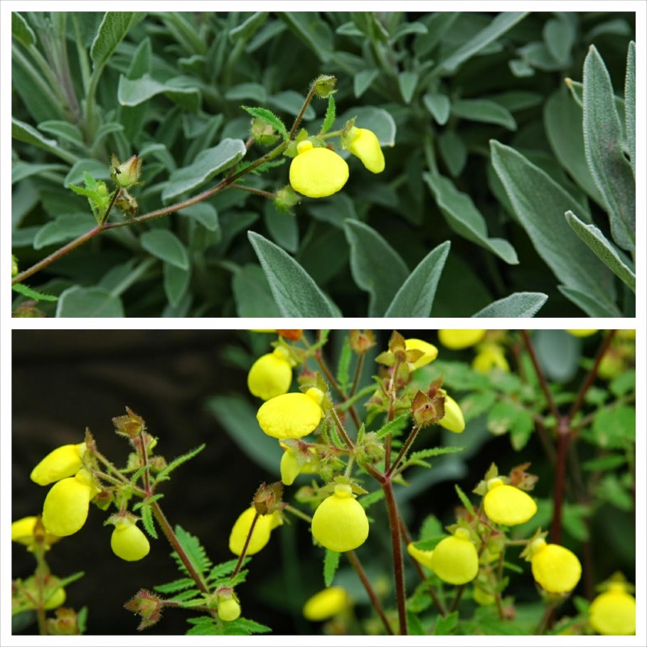 Люстра Freya Esme fr1005pl-05g