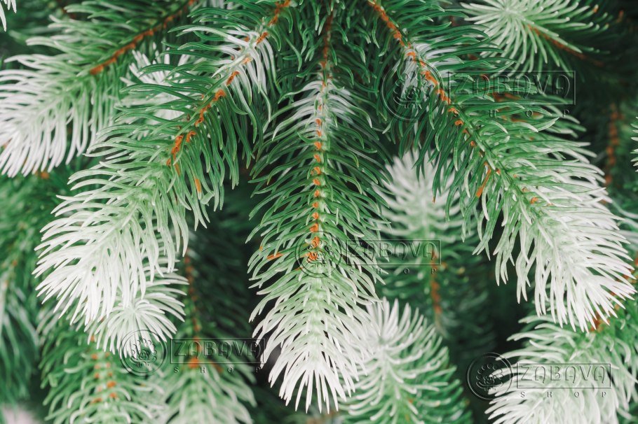 Ель Восточная Barnes