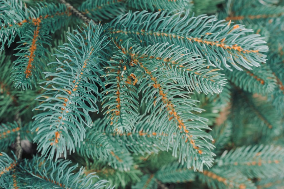 Ель Новогодняя искусственная Christmas (6009-1) 1.8 м