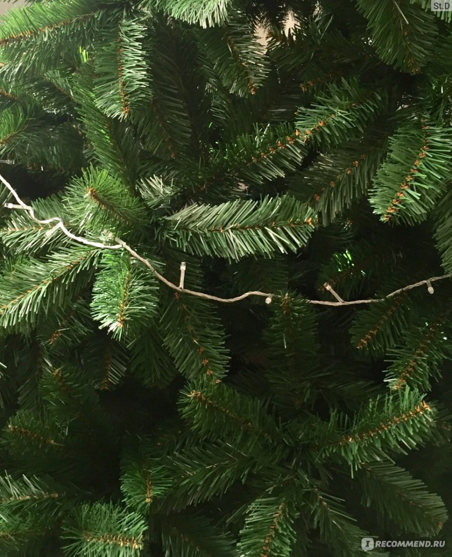 Священный елей