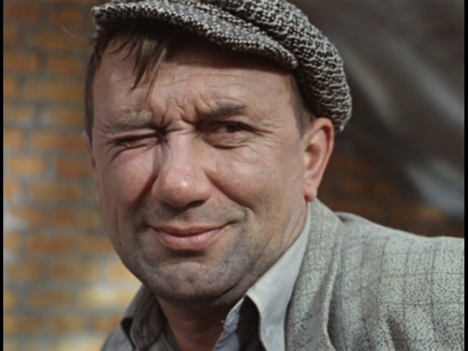 Гипсофила метельчатая Сноуфлейк