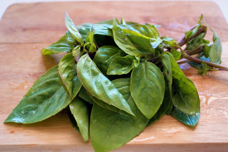 Базилик Осмин