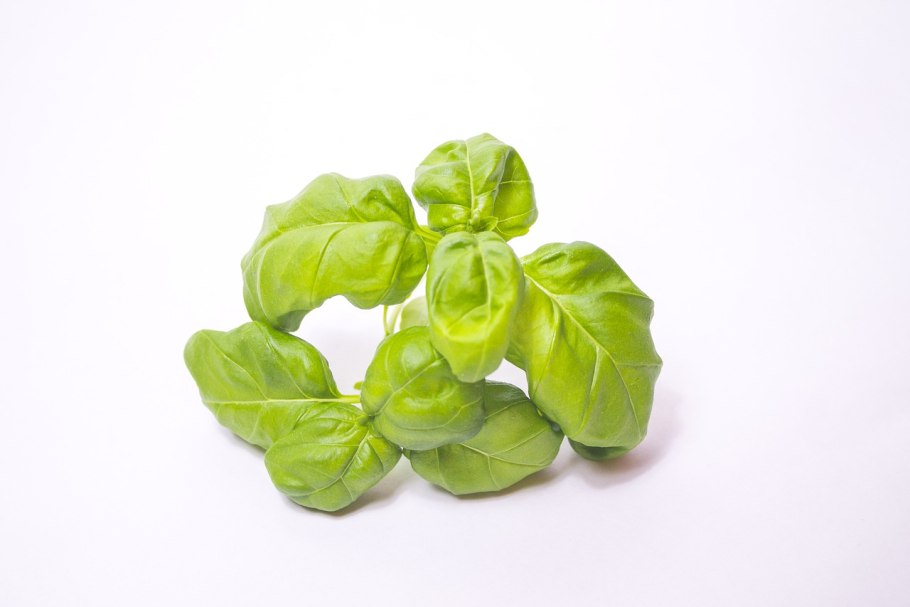 Райхон базилик