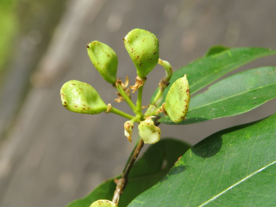 Крючки Gamakatsu Hook LS-1810b