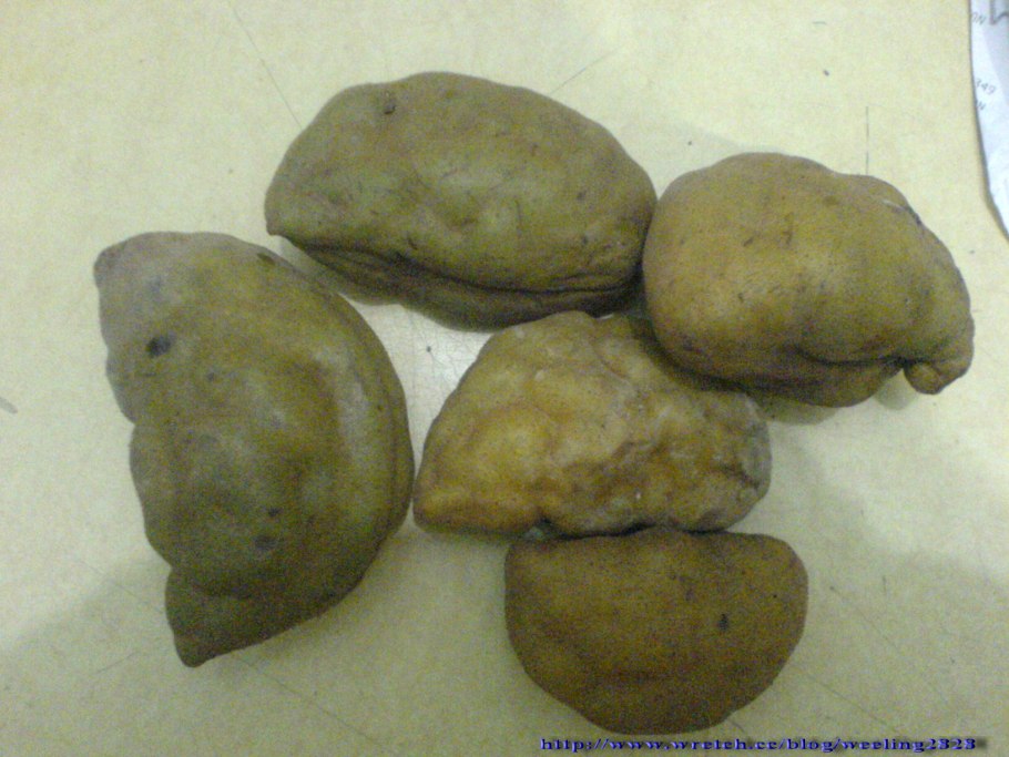 Мирциария сомнительная