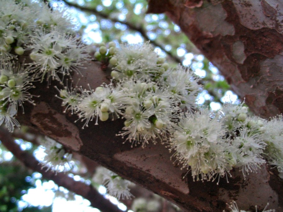 Насыщенный желтый