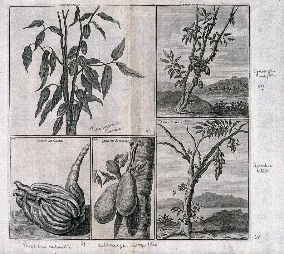 Электросхема автоматики Будерус 2107