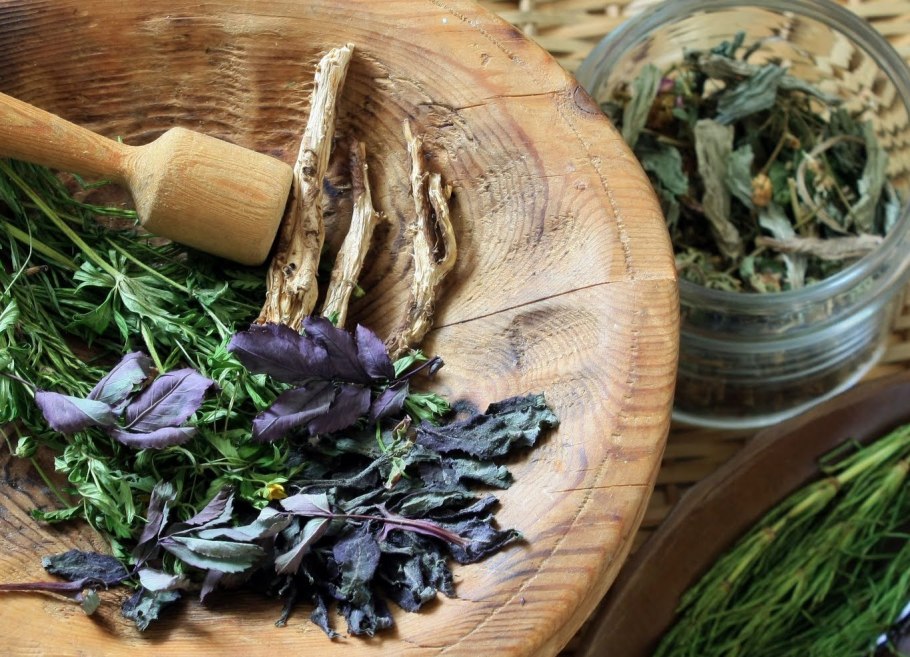 Целительные травы