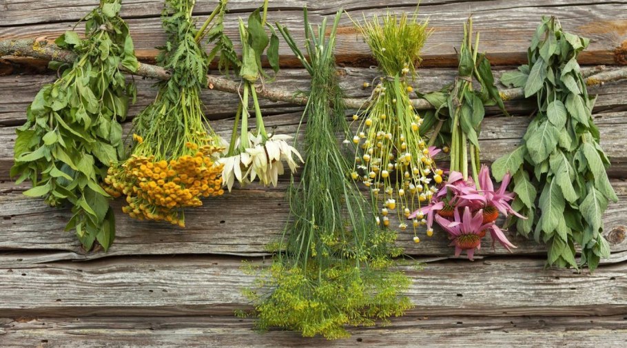 Сушеные травы