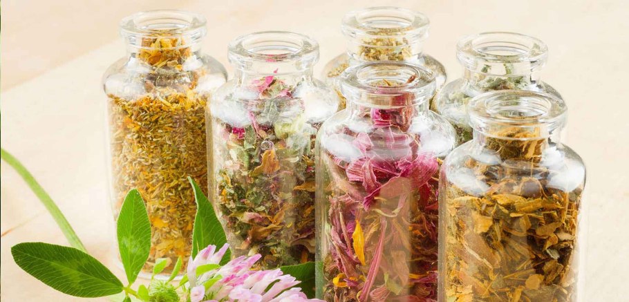 Лекарственные травы