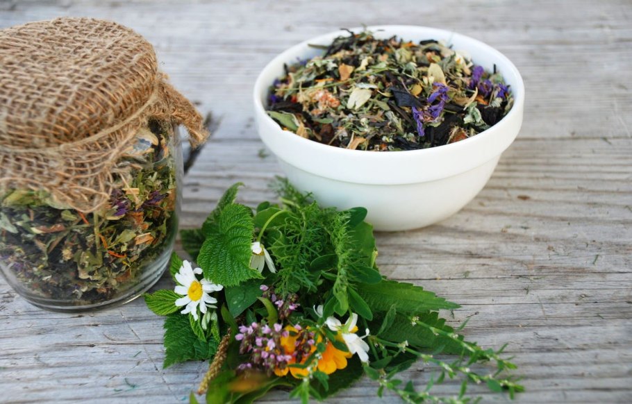 Dandelion root - корень одуванчика