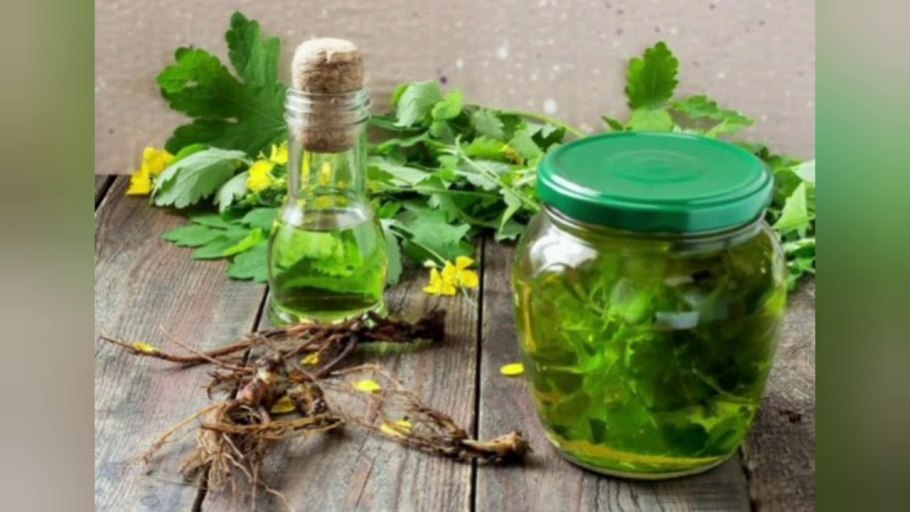 Природная аптека