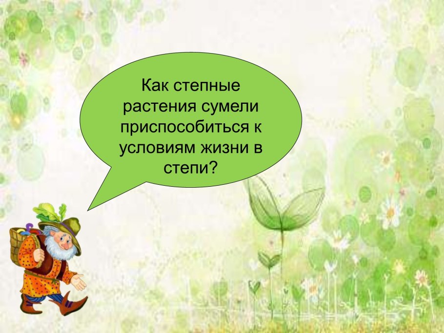 Почему растения могут выживать в пустыне