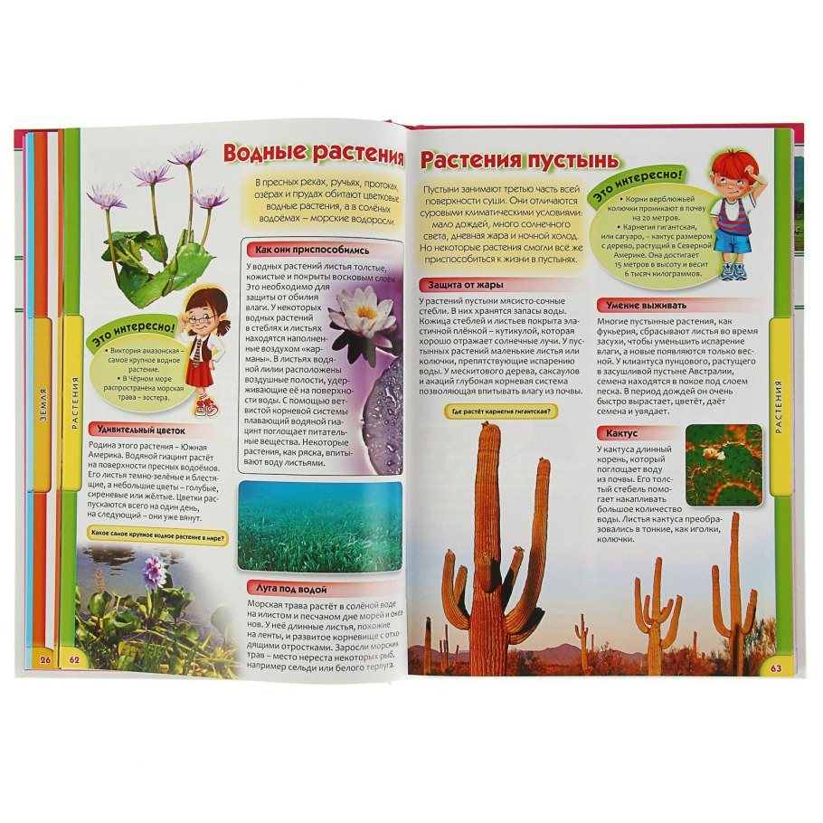 Самые уникальные приспосабливания животных и растений