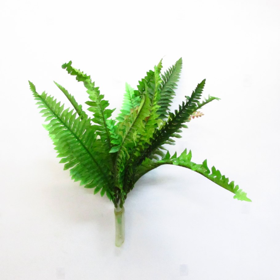 Папоротник Вудвардия искусственный