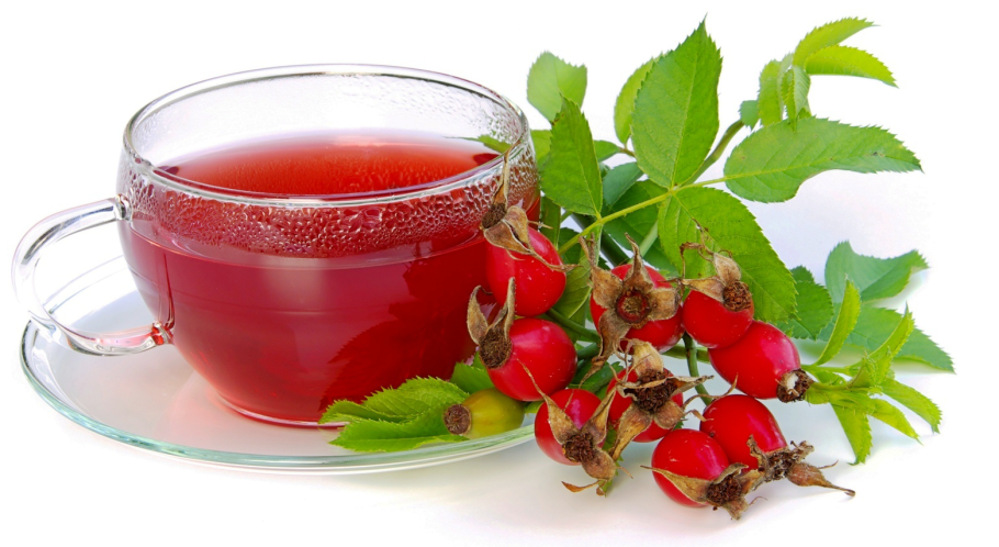 Отвар шиповника