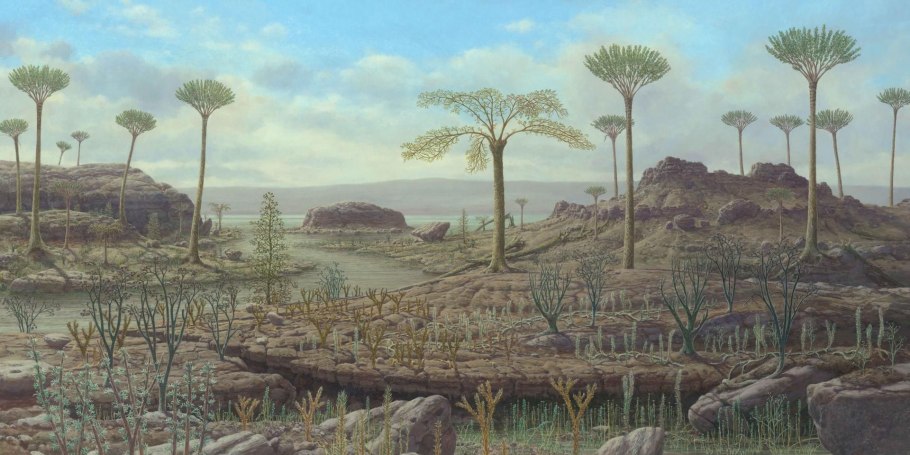Плауна Lycopodium annotinum