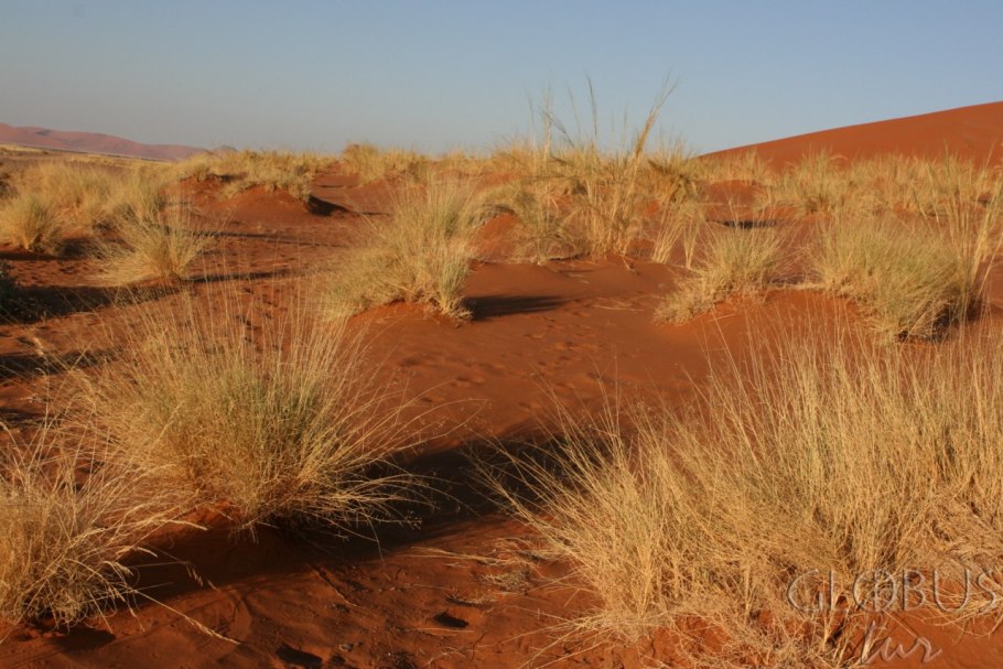 Пустыни: сахара, Ливийская, Намиб, Калахари.