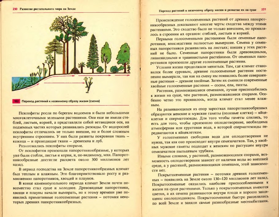 Переход растений к наземному образу жизни