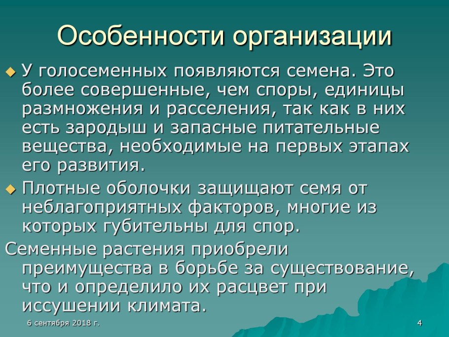 Шишки голосеменных