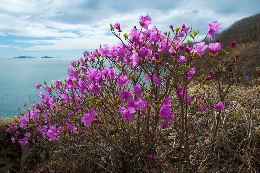 Метеостанция в Баргузинском заповеднике