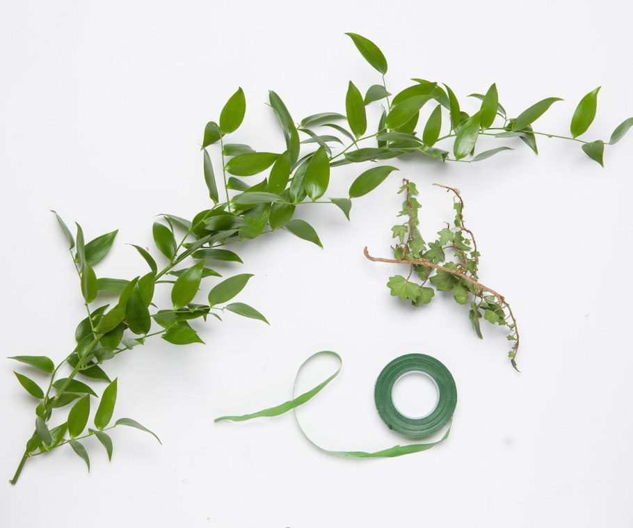 Веточка рускуса (8j-18b002)