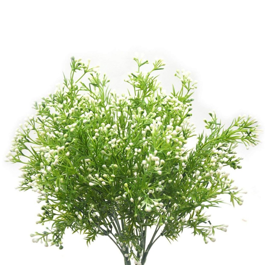 Листья Салал